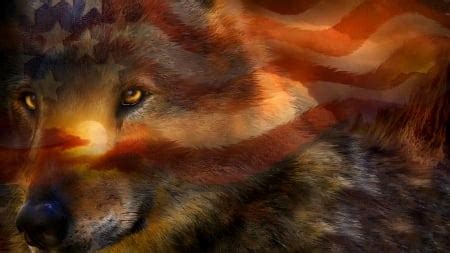 The Silver Wolf's Connection to Independence and Freedom