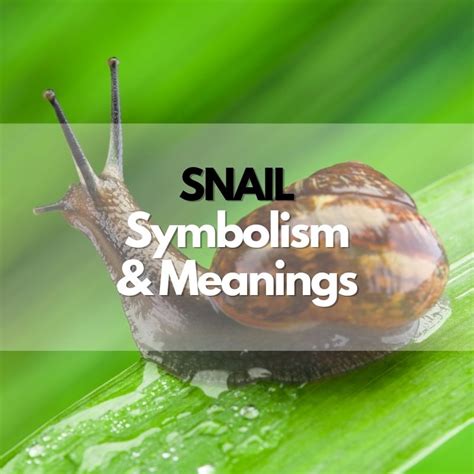 The Snail as a Symbol throughout History