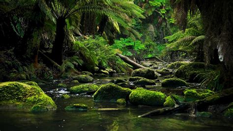 The Soothing Benefits of Cascading Streams