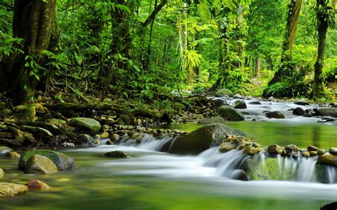 The Soothing Influence of Serene Streams and Rivers