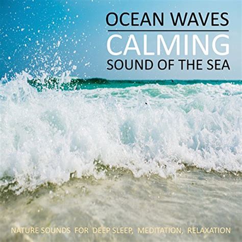 The Soothing Sound of Waves to Calm Your Mind