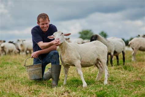 The Special Connection Between Farmers and Their Livestock: An Investigative Insight