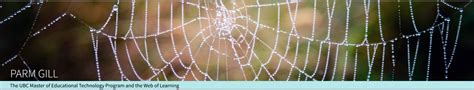 The Spider's Web: A Metaphor for Life's Challenges