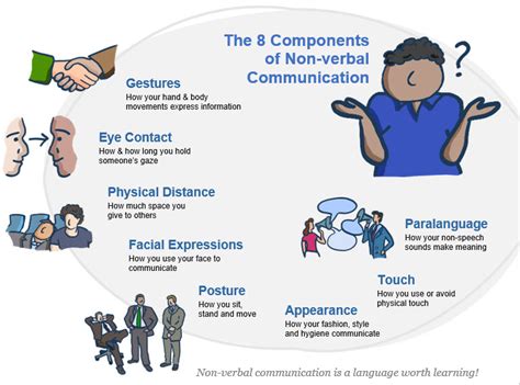 The Spider's Web of Communication: Analyzing Non-Verbal Cues