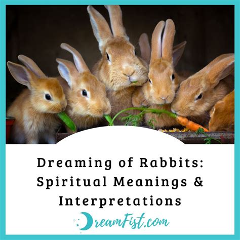 The Spiritual Interpretation of Rabbit Dreams