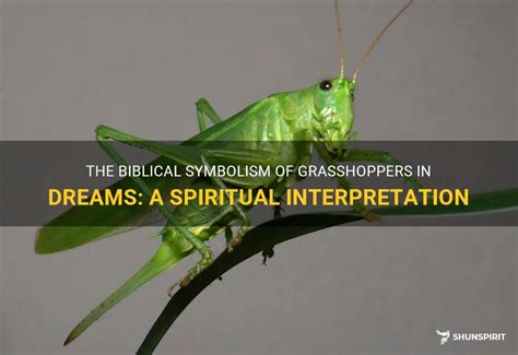 The Spiritual Interpretations of the Ivory Grasshopper