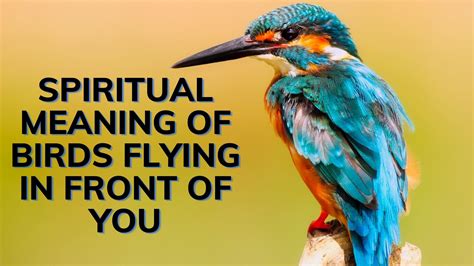 The Spiritual Meaning of Birds Encountered Within the Sacred Walls