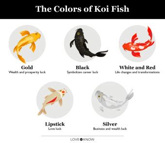 The Spiritual Meanings of Lively Crimson Koi Fish