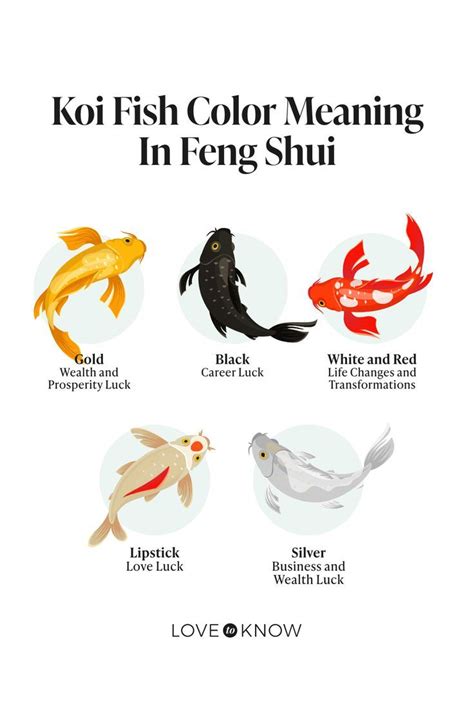 The Spiritual Significance of Ivory-Colored Koi Carp in Feng Shui