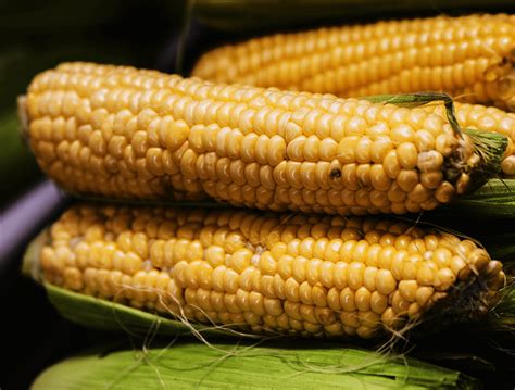 The Spiritual Significance of Maize in Dreams