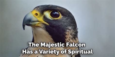 The Spirituality of the Majestic Pale Falcon