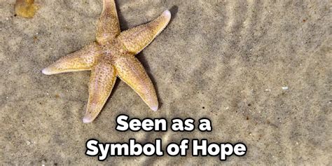 The Starfish as a Spiritual Symbol: Identifying Connection, Guidance, and Protection