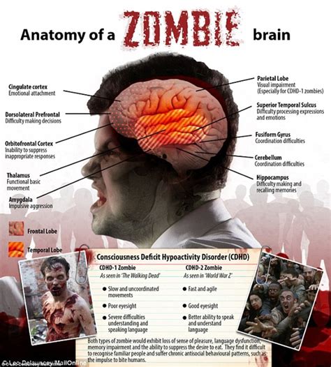 The Strange Behavior of the Zombie Brain