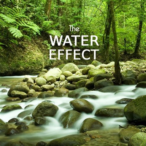 The Stream as a Healing Aid: The Soothing Effects of Being Immersed in Nature