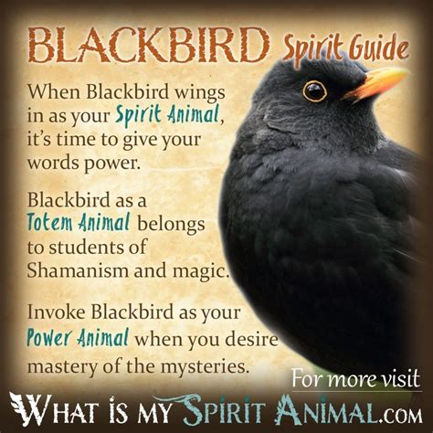 The Symbolic Importance of Blackbirds in Folklore and Mythology