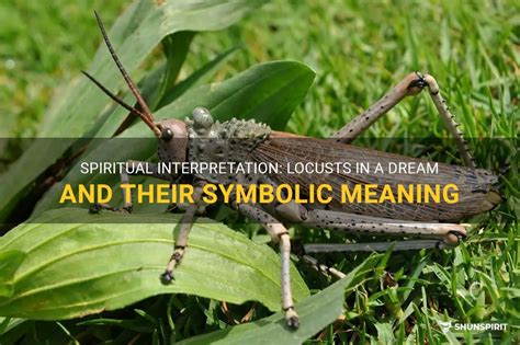 The Symbolic Importance of Locusts in Dreams and Their Significance