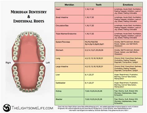 The Symbolic Importance of Lower Teeth in Lucid Imagery