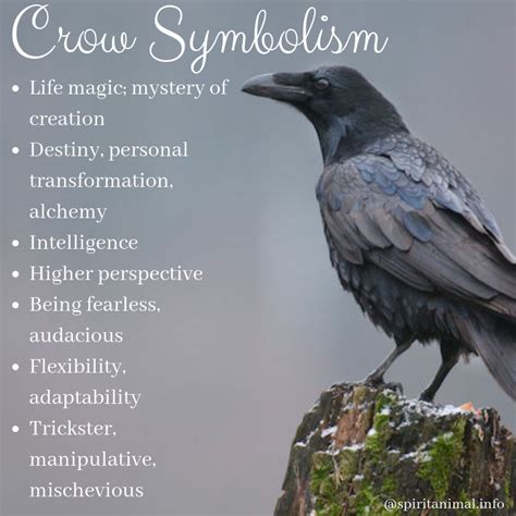 The Symbolic Importance of Onyx Crows in One's Nighttime Fantasies