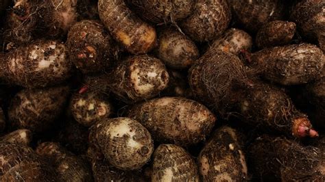 The Symbolic Importance of Yam Tubers in Dreams