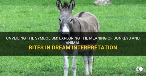 The Symbolic Influence of Animal Bites: Unveiling Personal Development through Analyzing Dreams