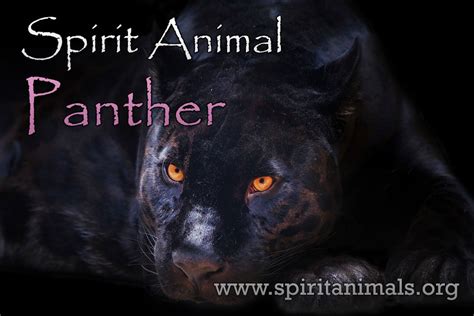 The Symbolic Interpretation of Nurturing a Swift Panther in Visions