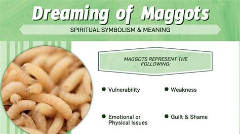 The Symbolic Interpretation of Vomiting Maggots in Dreams