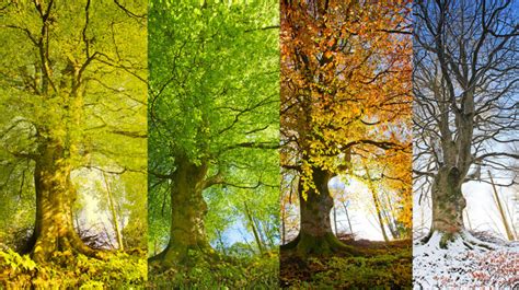 The Symbolic Journey Through Changing Seasons