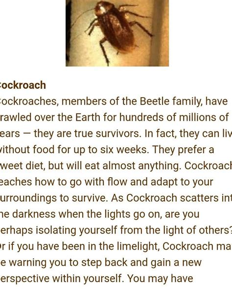 The Symbolic Meaning Behind the Intrusion of Cockroaches in Nightly Reveries