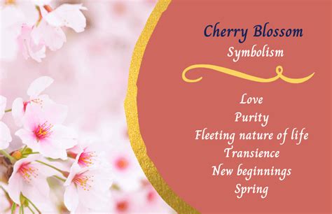 The Symbolic Meaning and Significance of Pure Blossoming Blossoms