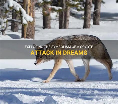 The Symbolic Meaning behind Dreams of Coyote Attacks