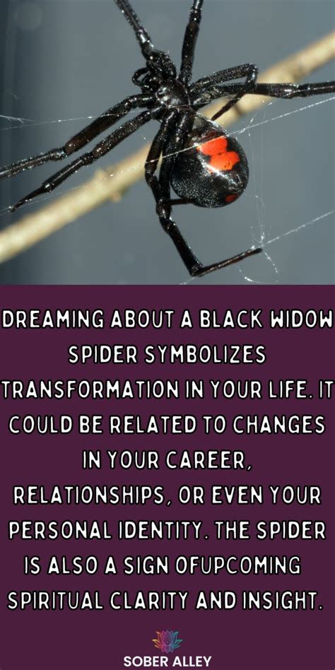 The Symbolic Meaning of Black Widows in Dream Imagery