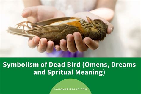 The Symbolic Meaning of Dreaming About Lifeless Avian Creatures