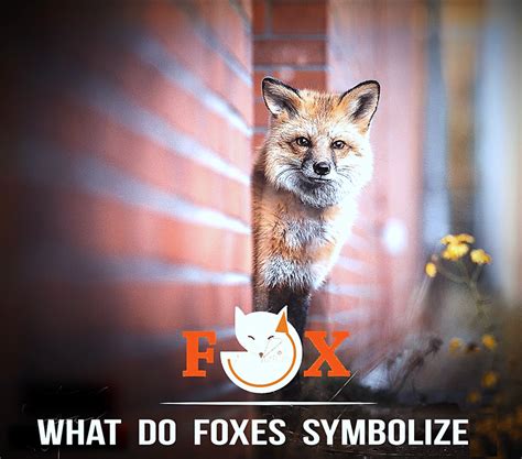 The Symbolic Meaning of Foxes in Different Cultures