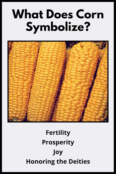 The Symbolic Meaning of Maize