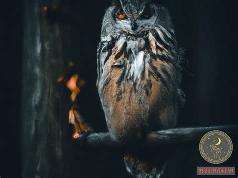 The Symbolic Meaning of Owls in Dreams