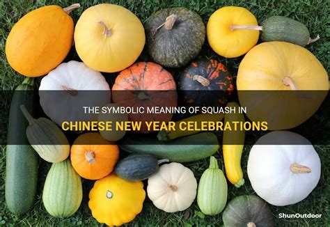 The Symbolic Meaning of Squash Encounters in Reveries