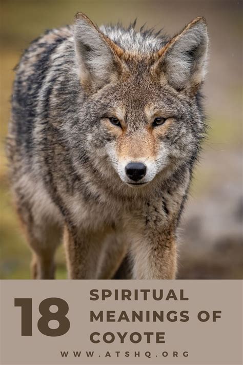 The Symbolic Meaning of Wolves and Coyotes in Dreams