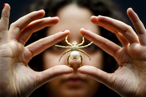 The Symbolic Power of Arachnids in Dreams