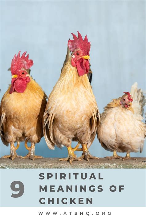 The Symbolic Power of Chickens in the Depths of Our Imagination