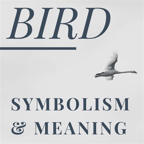 The Symbolic Representation of Birds as Celestial Beings