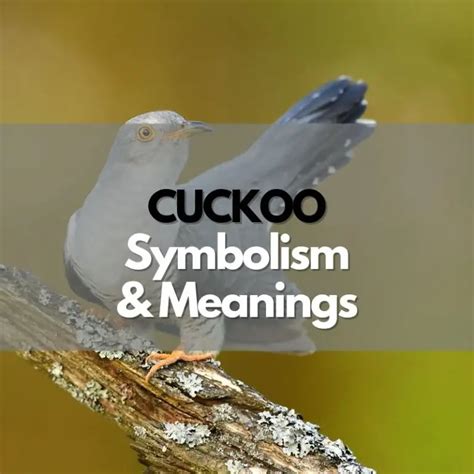 The Symbolic Representation of Cuckoos in Mythology and Literature