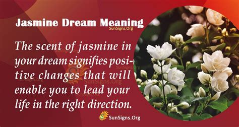 The Symbolic Representation of Jasmine in Dreams and Its Impact on Our Relationships