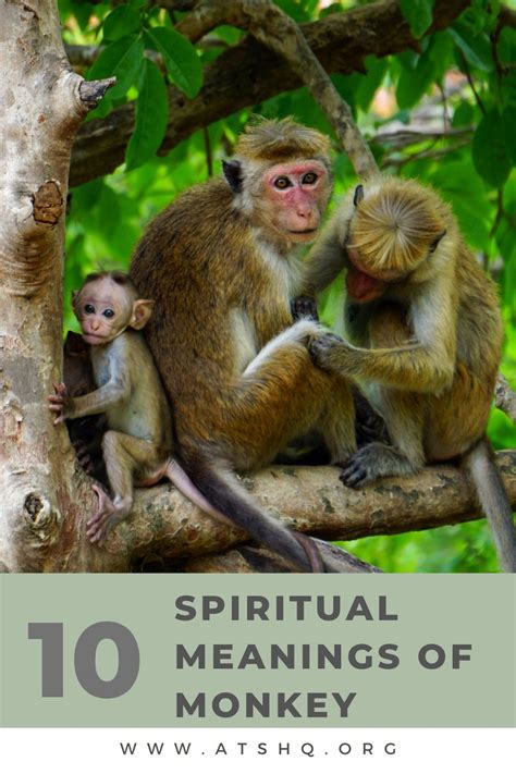 The Symbolic Representation of Monkeys in Hinduism: Meanings and Interpretations