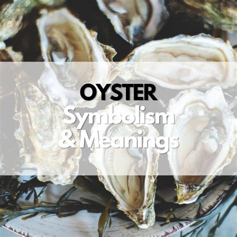 The Symbolic Representation of Oysters in Various Mythologies