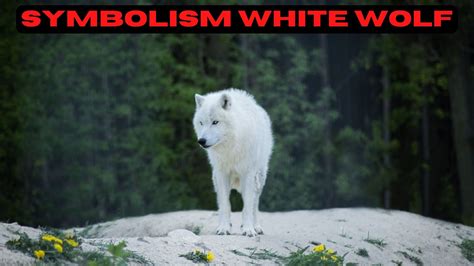 The Symbolic Representation of the Majestic White Wolf in One's Psyche