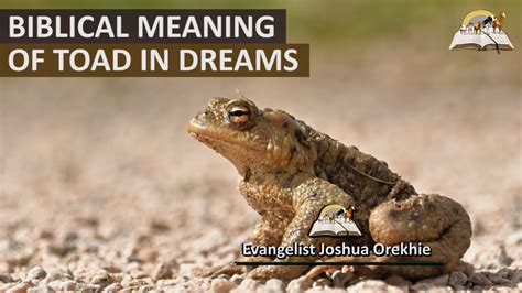 The Symbolic Significance Associated with Dreams Involving Frogs or Toads