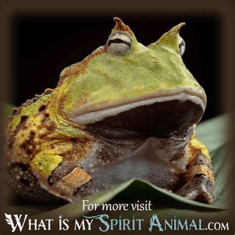 The Symbolic Significance of Amphibians in Dreams