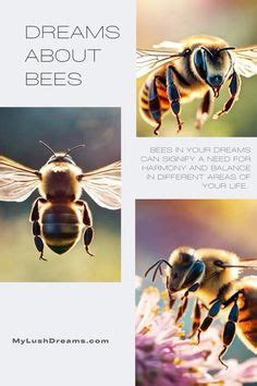 The Symbolic Significance of Bees in One's Subconscious