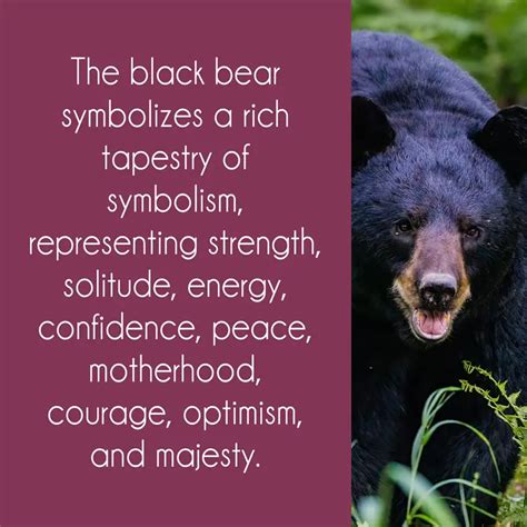 The Symbolic Significance of Black Bears in Dreamscapes