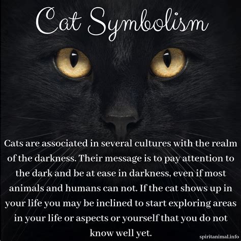 The Symbolic Significance of Black Cat Ownership